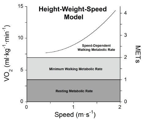 How Height Affects Calorie Burning Runner S World