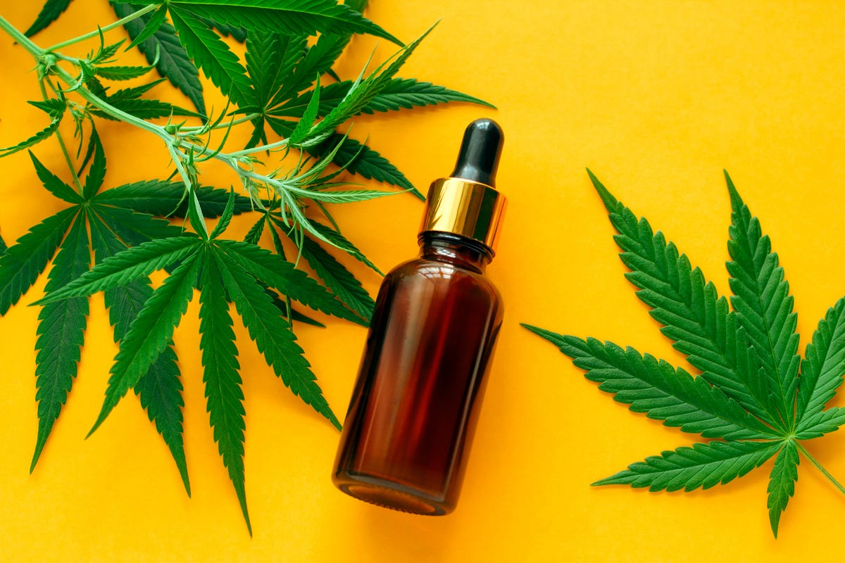 CBD Oil: Benefits, Downsides and Best to Buy in 2020