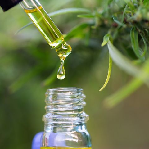CBD hemp oil, Hand holding bottle of Cannabis oil in pipette