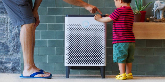 11 Best Air Purifiers for 2019 - Top-Rated Home Air Purifiers