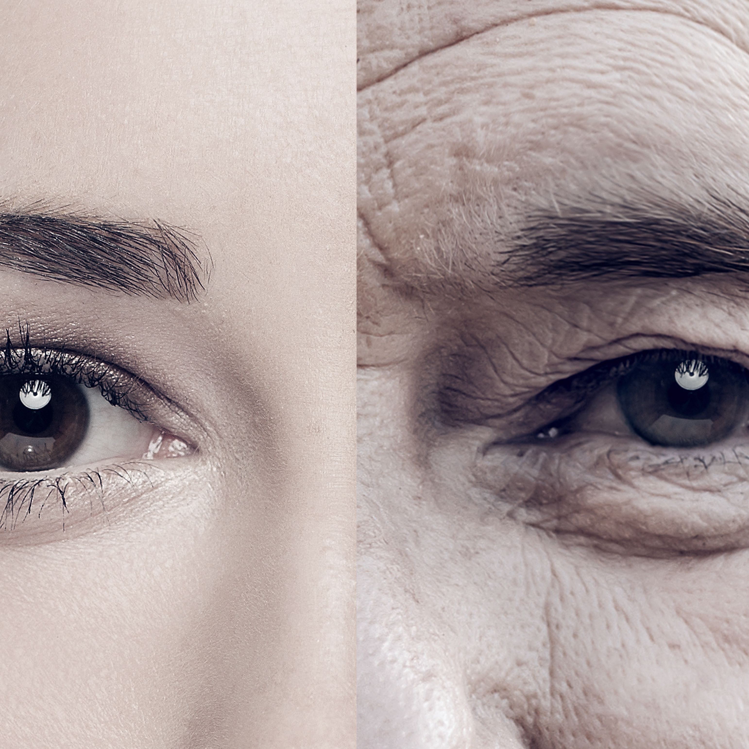 Human Lifespans Keep Increasing—and Scientists Say They're Not Slowing Down Anytime Soon