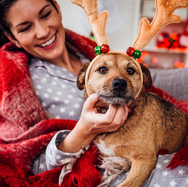 Best Christmas gifts for dog owners (and their precious pooches) Best Christmas gifts for dog owners (and their precious pooches)