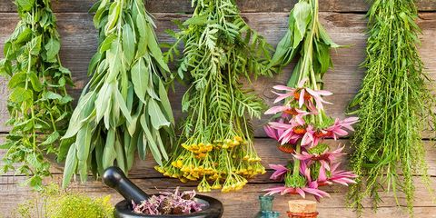 herbs for cold and flu