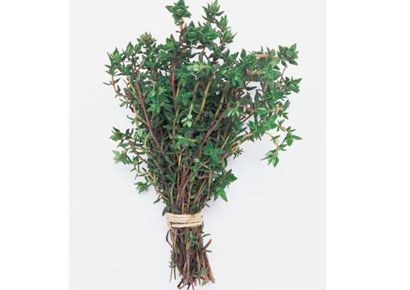 Leaf, Ingredient, Vase, Plant stem, Herb, Root, Produce, Vascular plant, 