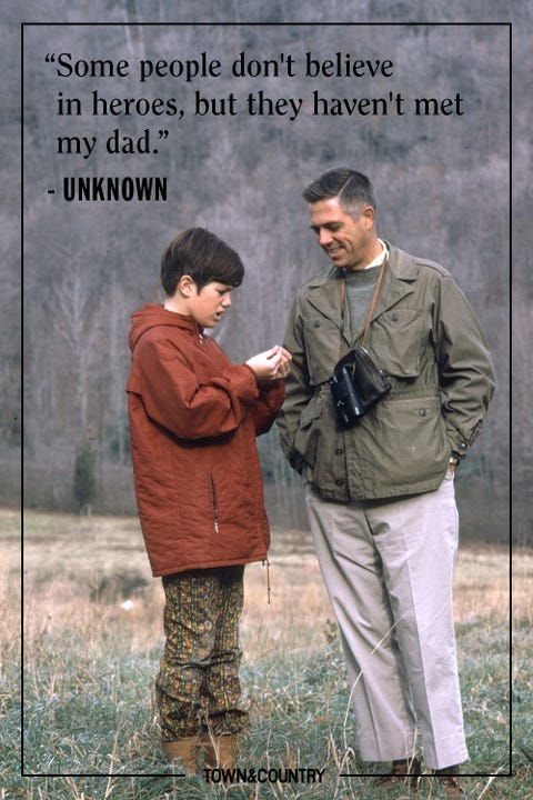 dad hero dad hero