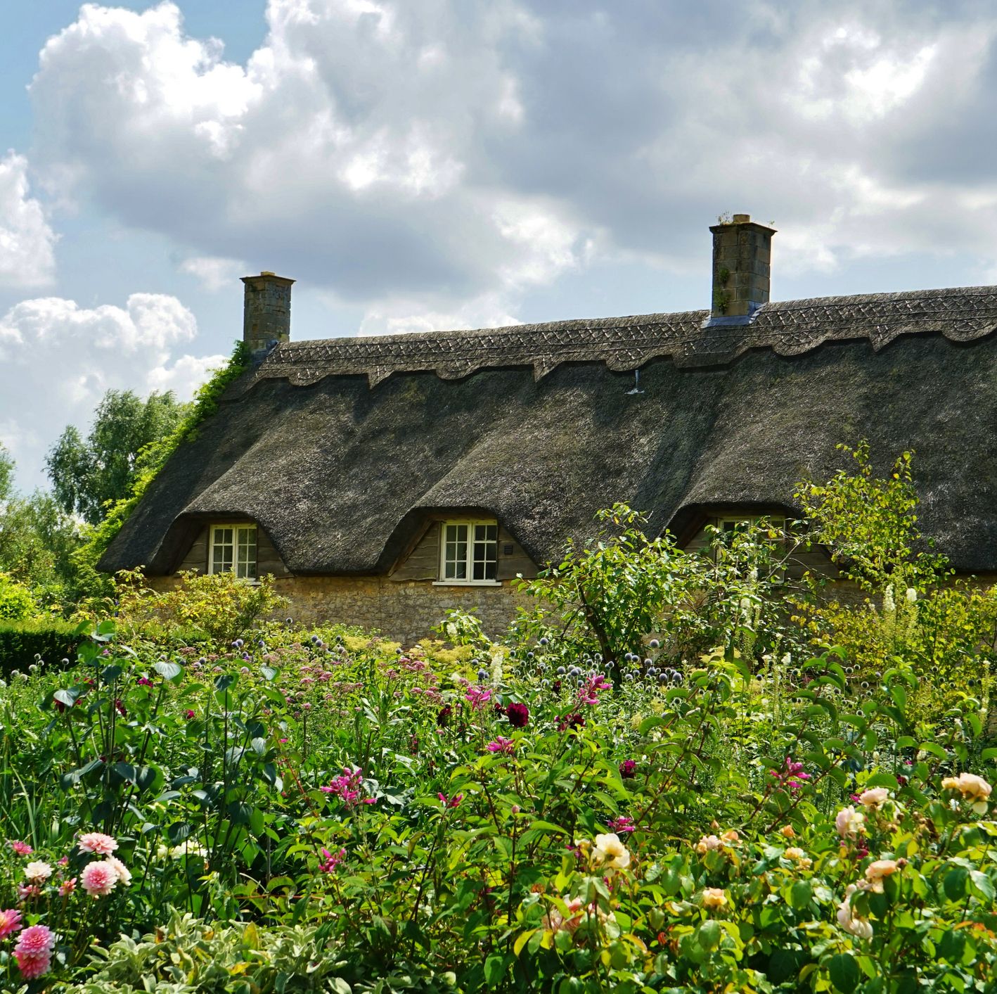 An Expert Guide to Creating an English Garden in Your Backyard