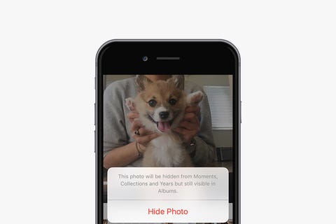 Vertebrate, Carnivore, Communication Device, Portable communications device, Dog, Gadget, Dog breed, Tan, Technology, Telephony, Vertebrate, Carnivore, Communication Device, Portable communications device, Dog, Gadget, Dog breed, Tan, Technology, Telephony,