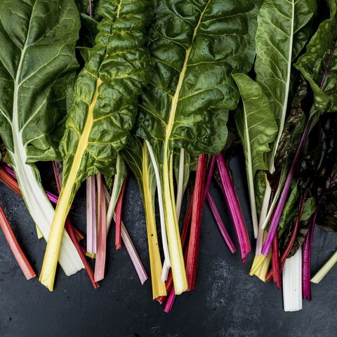 high angle close up of a bunch of freshly picked swiss rainbow chard on grey background