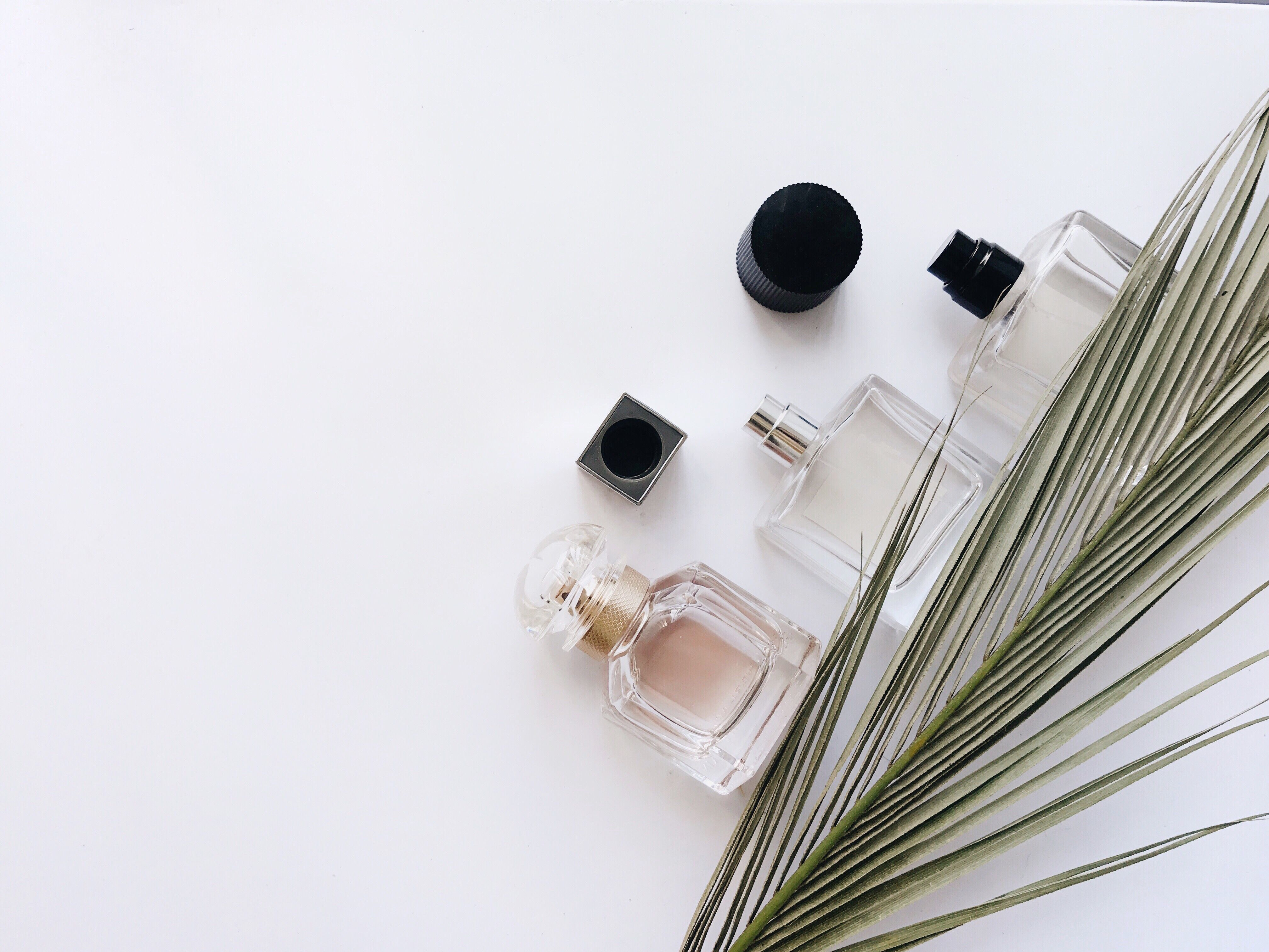 National Fragrance Day New Perfume And Fragrance Trends 2019