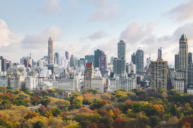 high angle view of upper west side manhattan skyline and central park, new york city