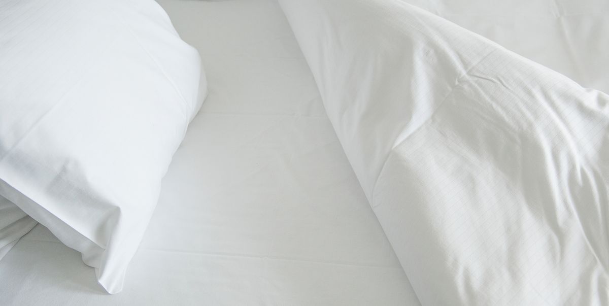How To Get Rid Of Bed Bugs For Good, Do Bed Bugs Live In Duvets And Pillows
