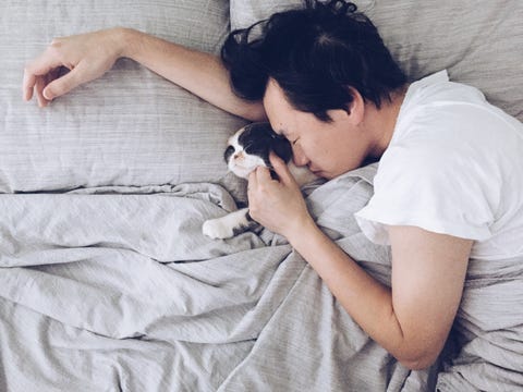 High Angle View Of Young Man With Kitten Sleeping On Bed At Home