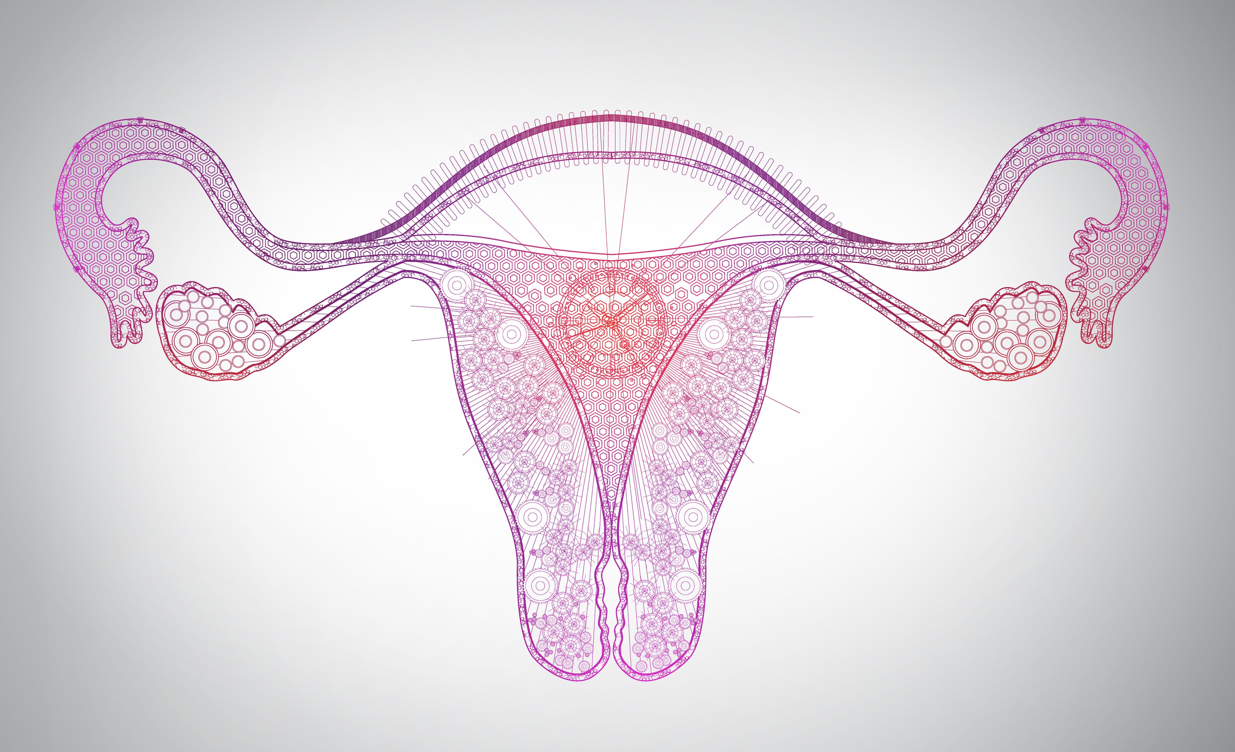 Ovary Removal Side Effects 5 Things To Know About Oophorectomy