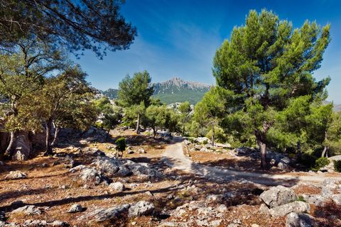 hiking path with rocks and trees in the serra de tramuntana mountain range