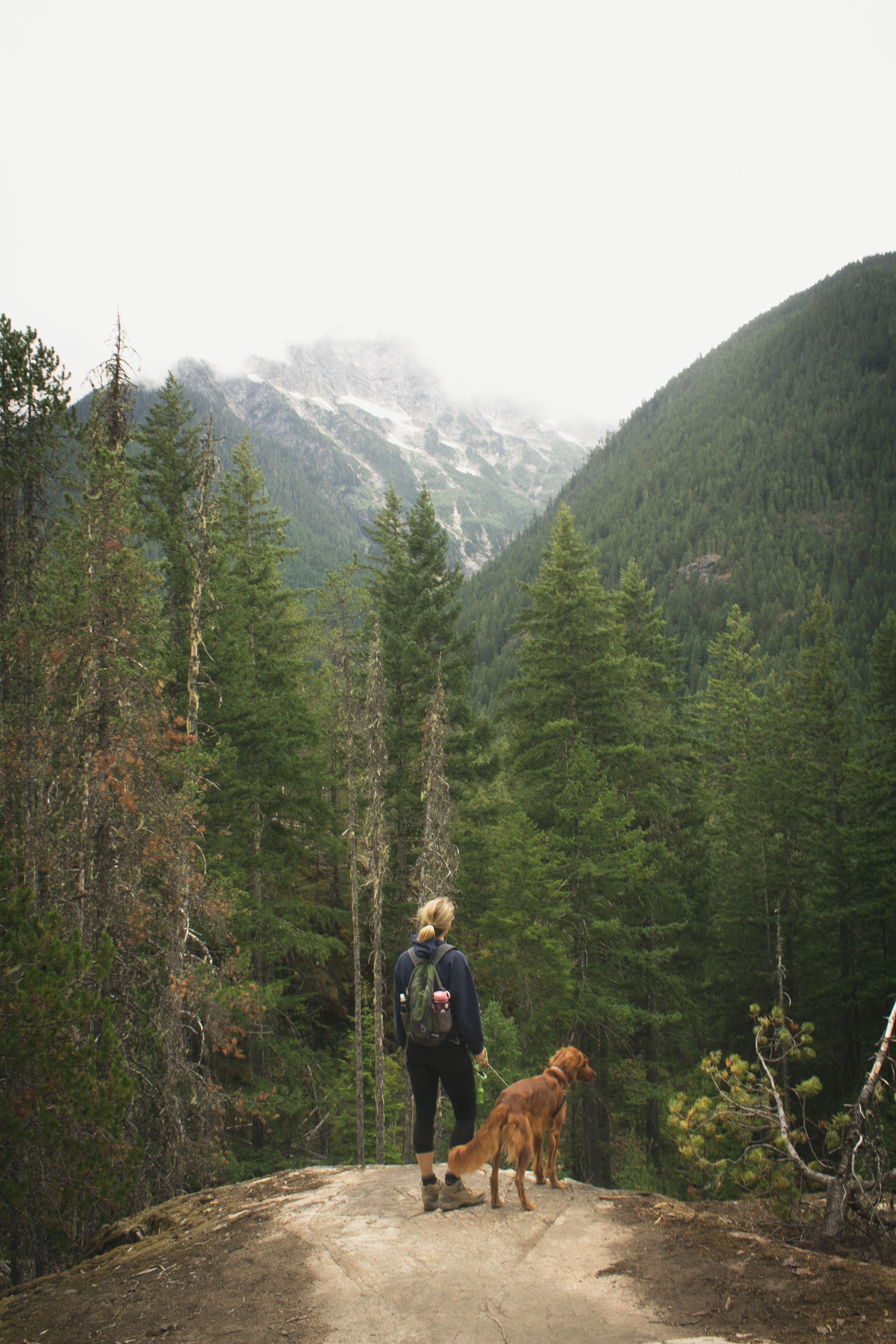 hiking with my dog