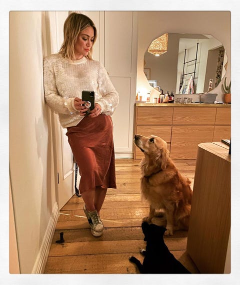 Celebrity Pets Celebrities With Their Dogs And Cats