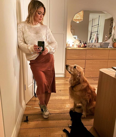 Celebrity Pets Celebrities With Their Dogs And Cats Celebrity Pets Celebrities With Their Dogs And Cats