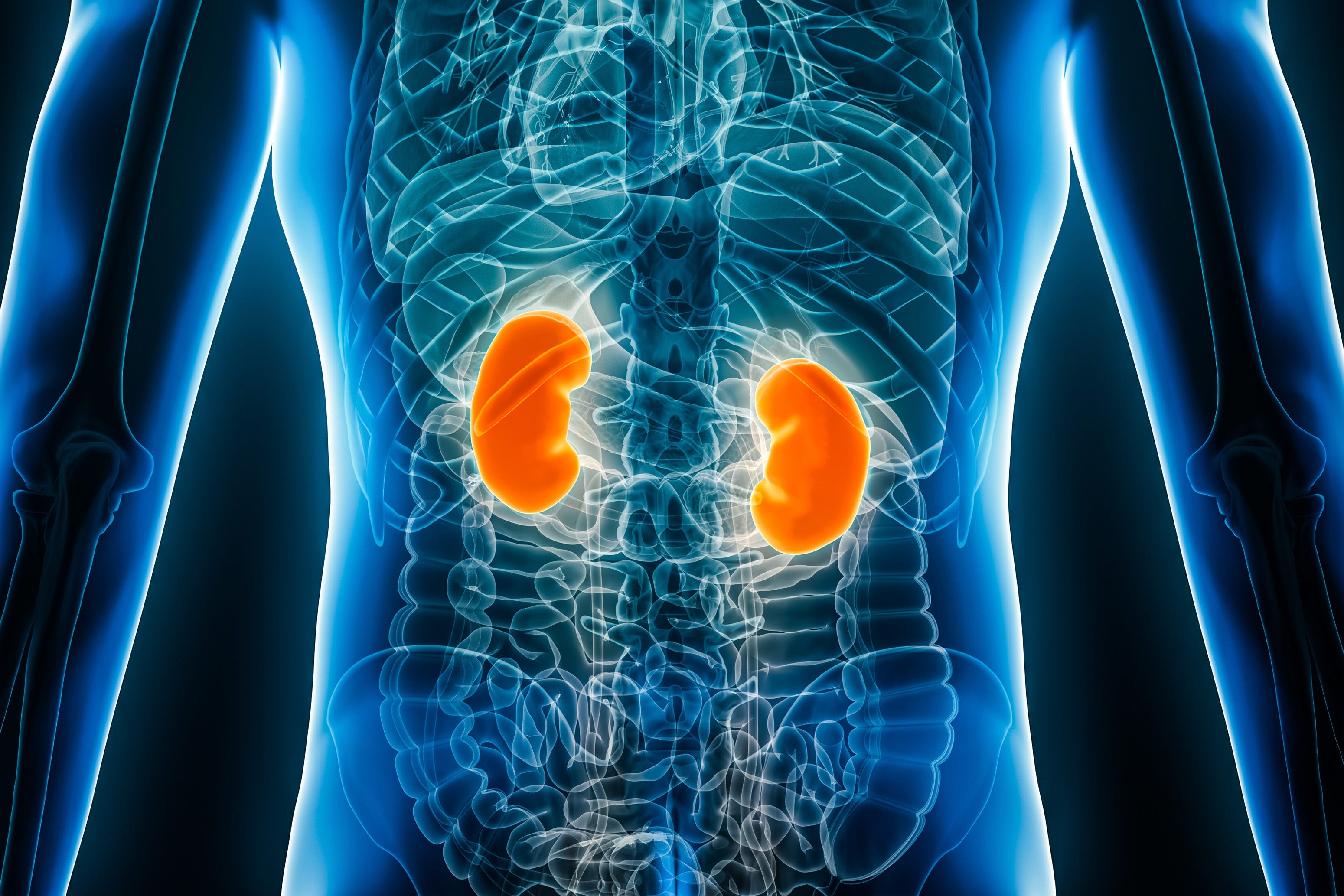 What Your Habits Are Actually Doing to Your Kidneys