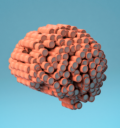 brain made of foam rollers