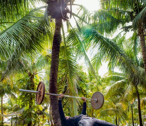 kravtiz with barbell on coconut tree