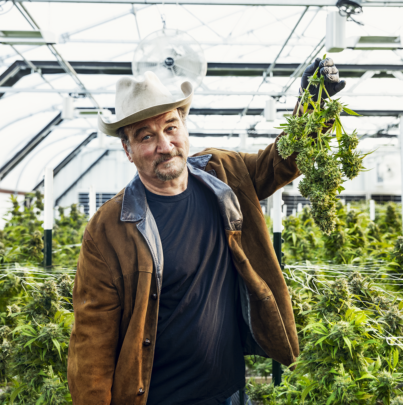 Jim Belushi Left Hollywood to Grow Weed and Heal His Soul