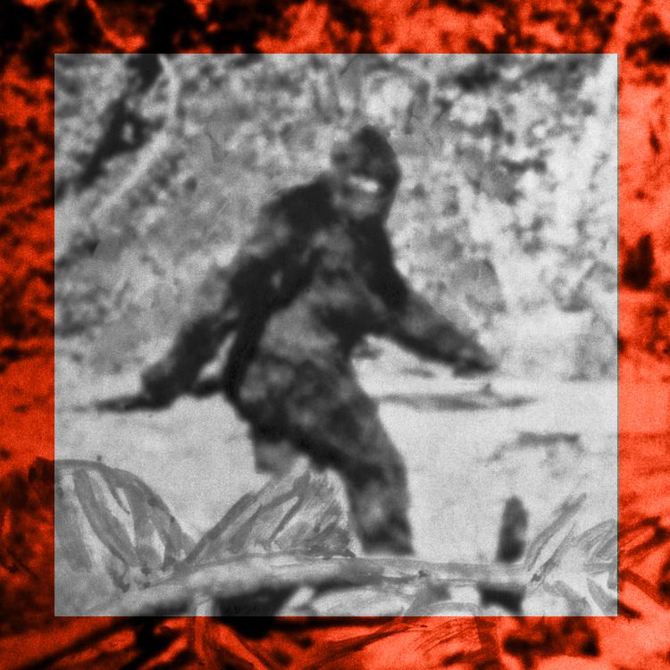 Some People Say They've Seen Bigfoot. Can We Really Rule Out That Possibility?