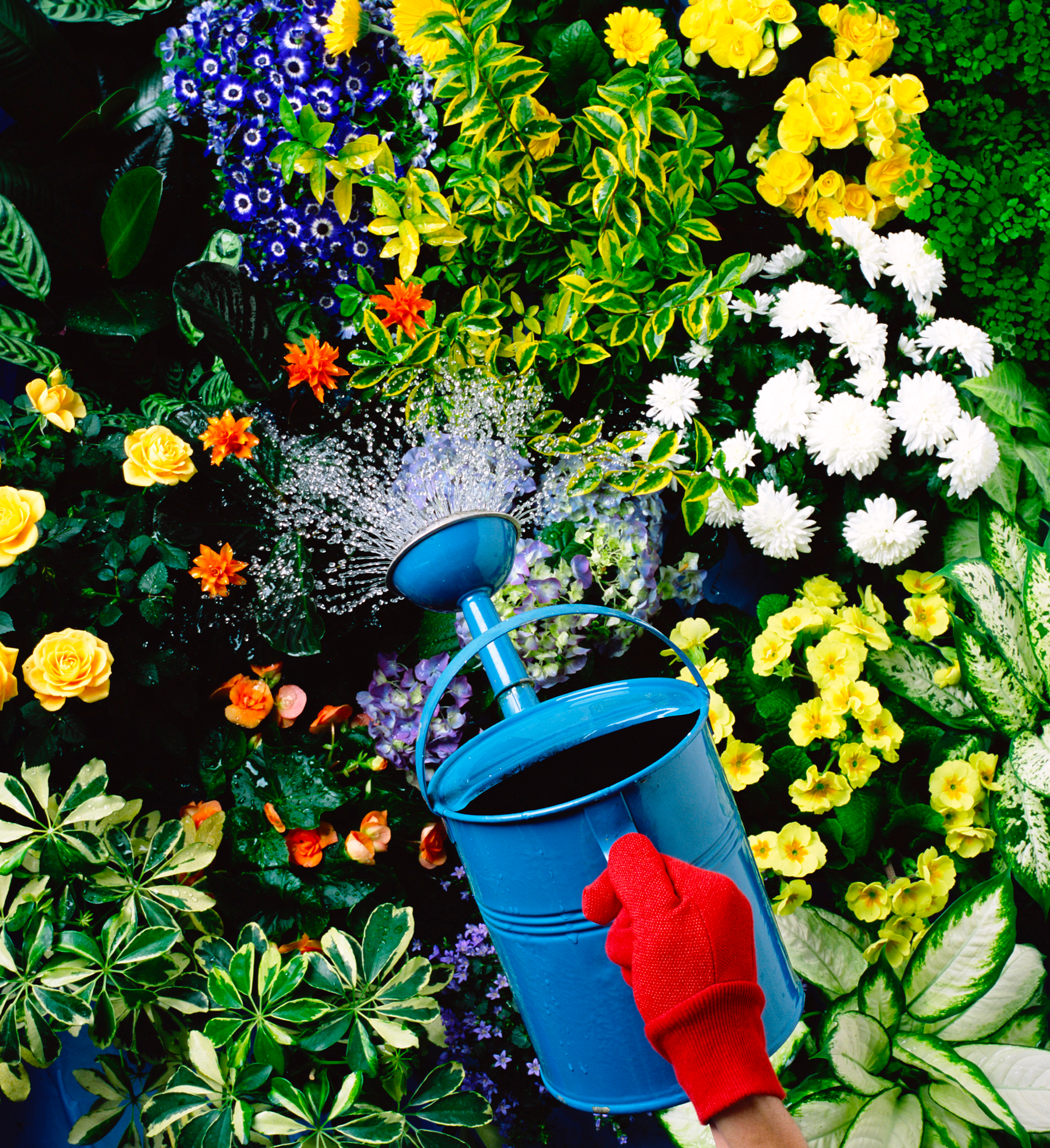 37 Hobby Ideas for Anyone Looking to Add Some Spice to Their Life