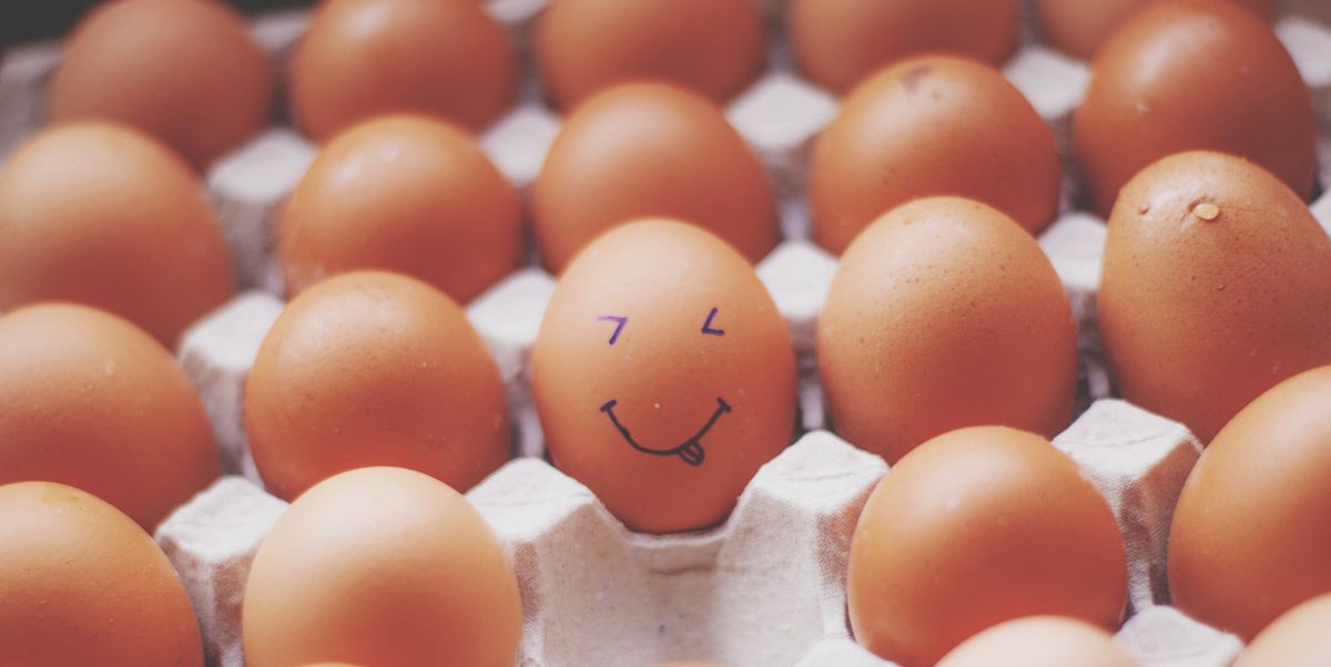 Bezet van nu af aan Elektronisch Biologische eieren, vrije uitloop: hoe kies je het beste ei?