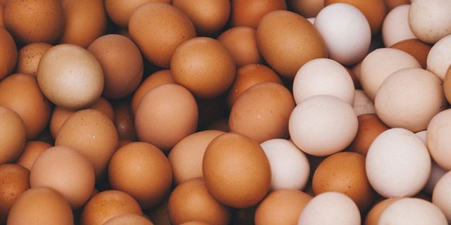 Bestaat er zoiets als het maximale aantal eieren per dag?﻿