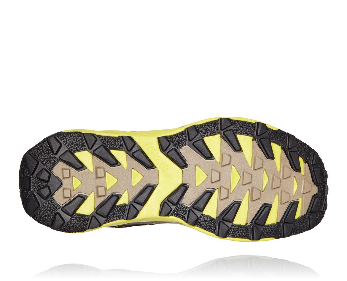 adidas x terra