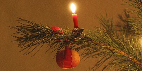 Candle, Lighting, Tree, Pine, Branch, Christmas, Conifer, Pine family, Interior design, Spruce, 