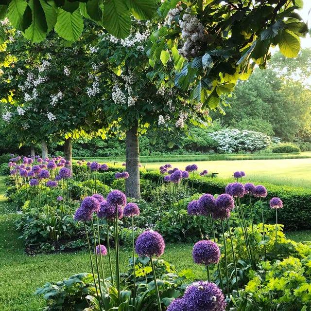 Landscapers in Denver