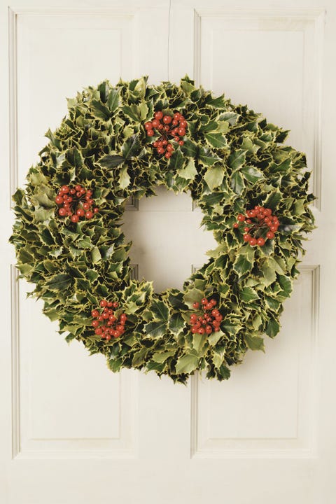 屋内ホリデーガーデンに最適な13のクリスマスプラント Elle Decor エル デコ 屋内ホリデーガーデンに最適な13のクリスマスプラント Elle Decor エル デコ