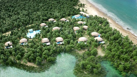 Vegetation, Bird's-eye view, Natural landscape, Aerial photography, Biome, Grass, Landscape, Shrub, Plant community, Tree,