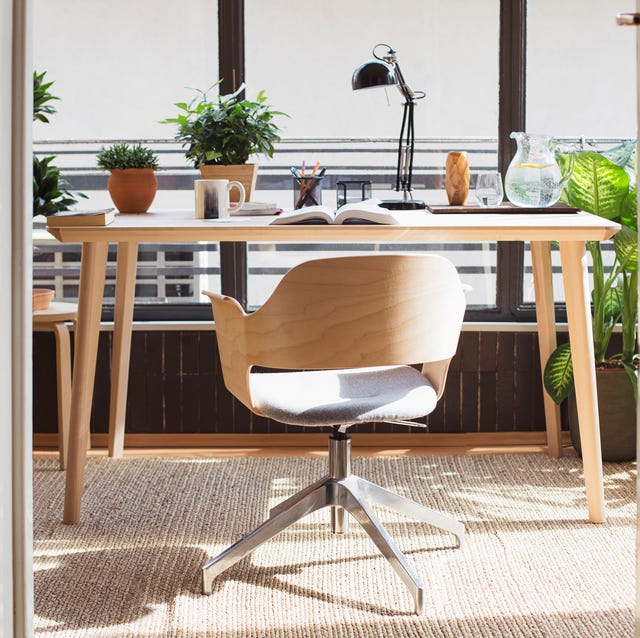 5 simple ways to combat SAD when you're working from home home officestudy with plants and plenty of natural light