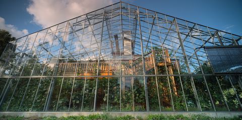 Architecture, Botany, Facade, Greenhouse, Building, Tree, Glass, Botanical garden, Reflection, House, 