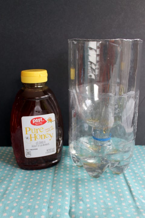 homemade-fly-trap-1590686794.jpg?crop=1.00xw:0.667xh0,0.169xh&resize=480:*