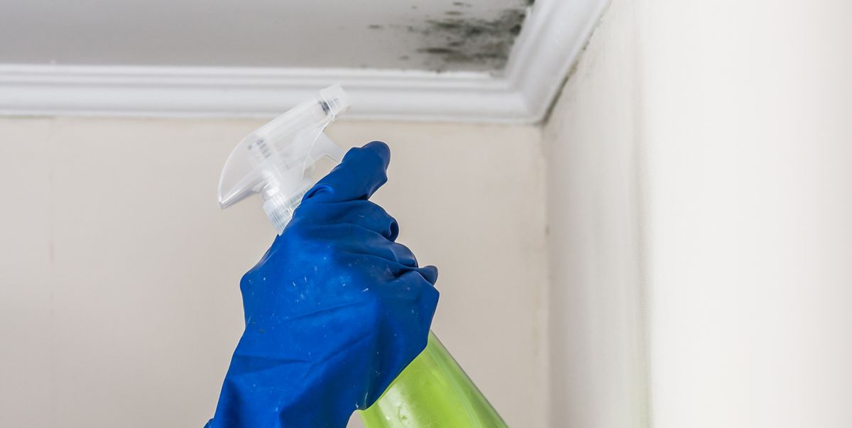 How to stop mould from returning with this homemade spray