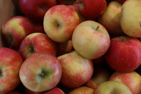 25 Different Types Of Apples Apple Varieties And Their Tastes