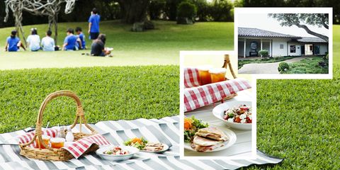 Green, Picnic, Grass, Backyard, Recreation, Event, Table, Dish, Lawn, Meal, 