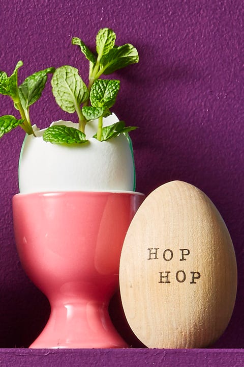 Hop Egg - Easter Egg Decorating Ideas