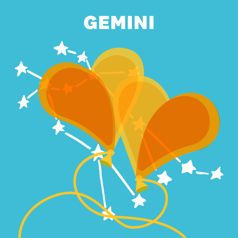 Kinky Zodiac Signs- Gemini