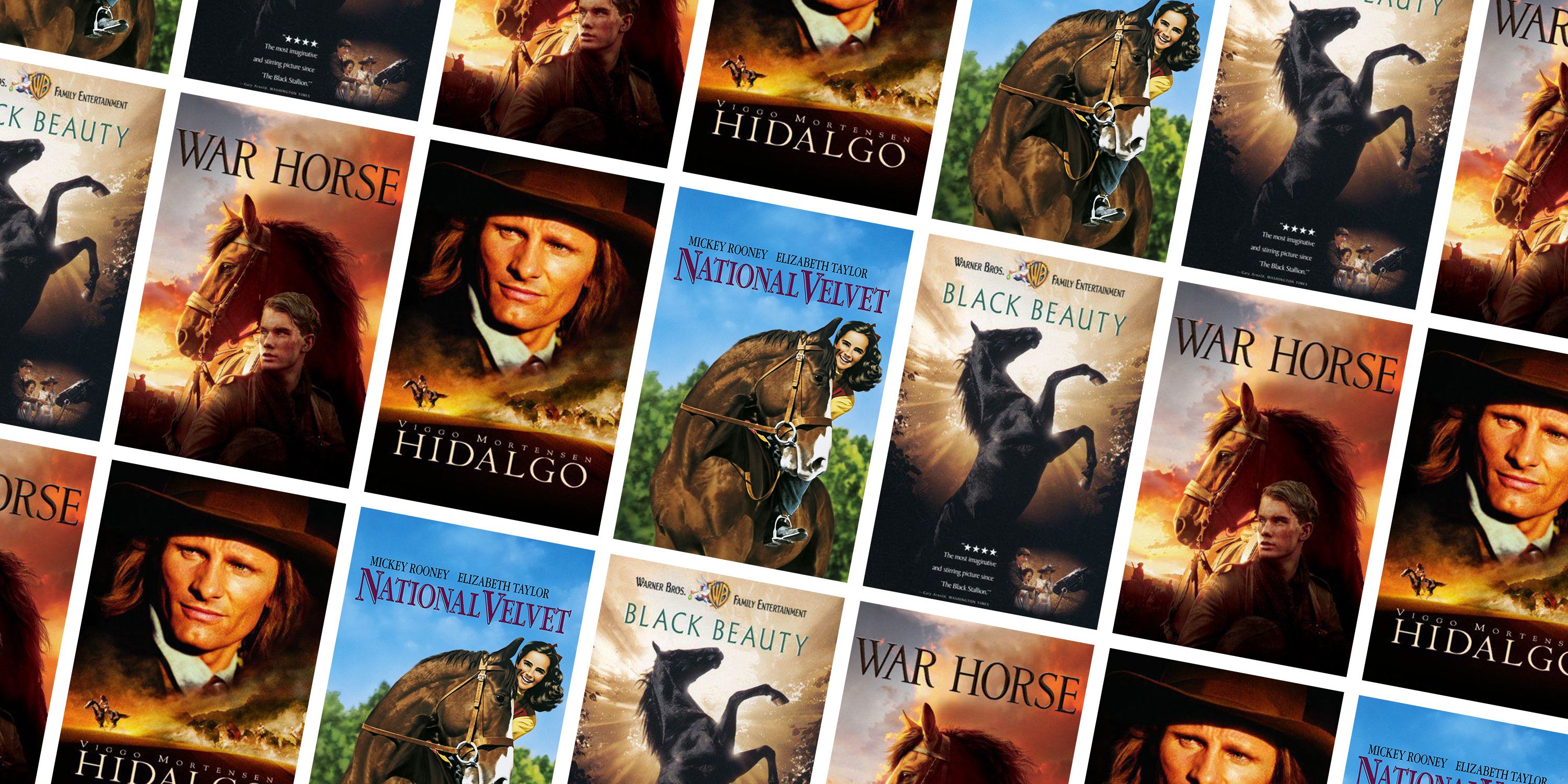 20 Horses Movies for Every Equestrian Aficionado - Best Films About Horses