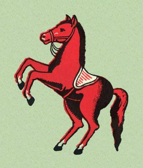Horse, Mane, Illustration, Stallion, Bridle, Drawing, Art, Horse supplies, Mustang horse, Sorrel, 