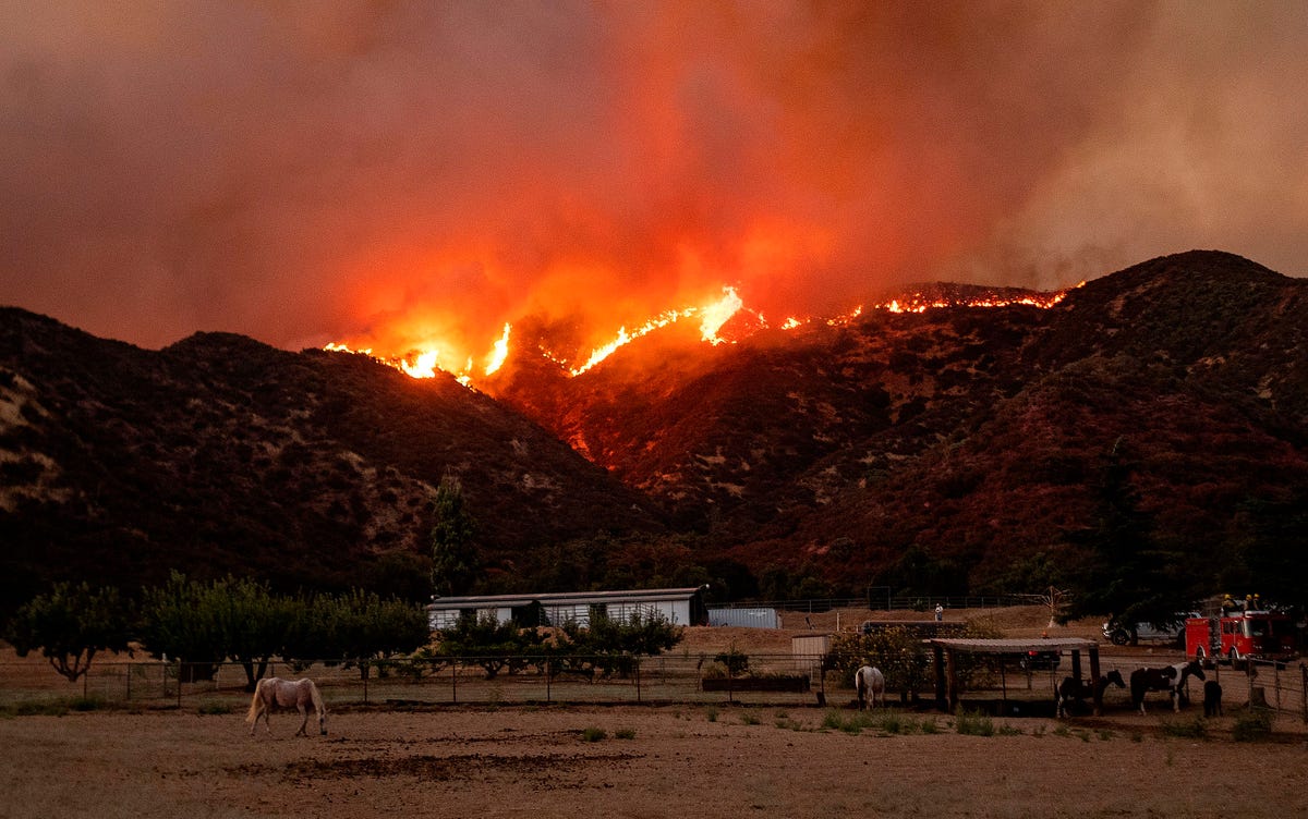 Video: Apple Fire in Cherry Valley California Destroys 26,000 Acres