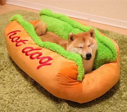 Every Good Boy Deserves This Hot Dog Shaped Dog Bed