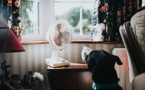 節電 省エネ 夏にエアコンなしでも涼しく快適に過ごす方法 節電 省エネ 夏にエアコンなしでも涼しく快適に過ごす方法