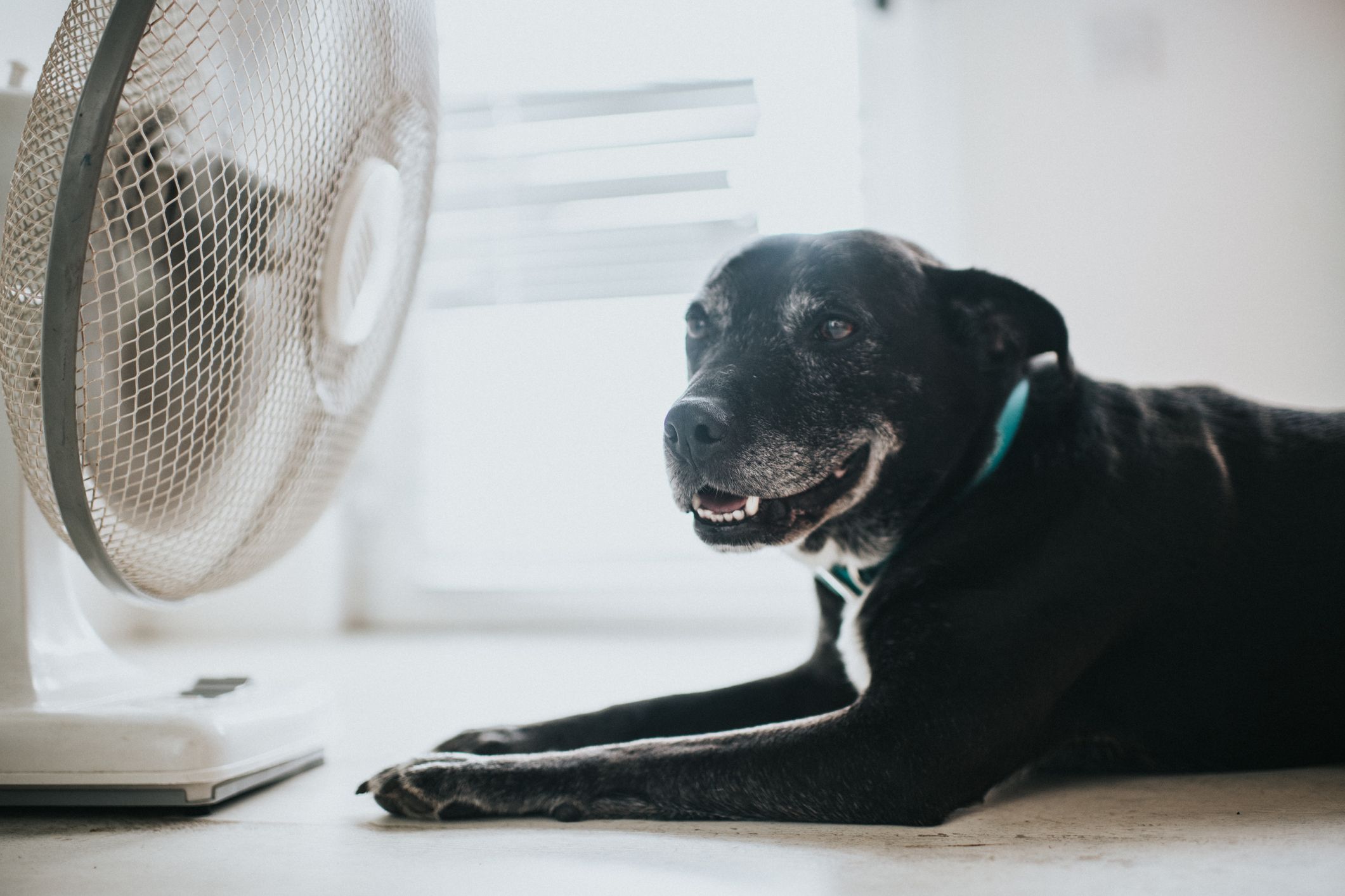 tricks to cool down your house