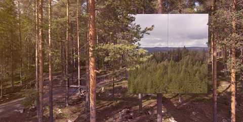 Hotel en un árbol de un bosque de Suecia