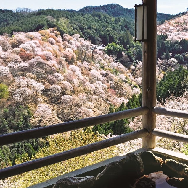 湯元 宝の家 桜の名所 奈良吉野山を望む絶好の眺望スポット 湯元 宝の家 桜の名所 奈良吉野山を望む絶好の眺望スポット